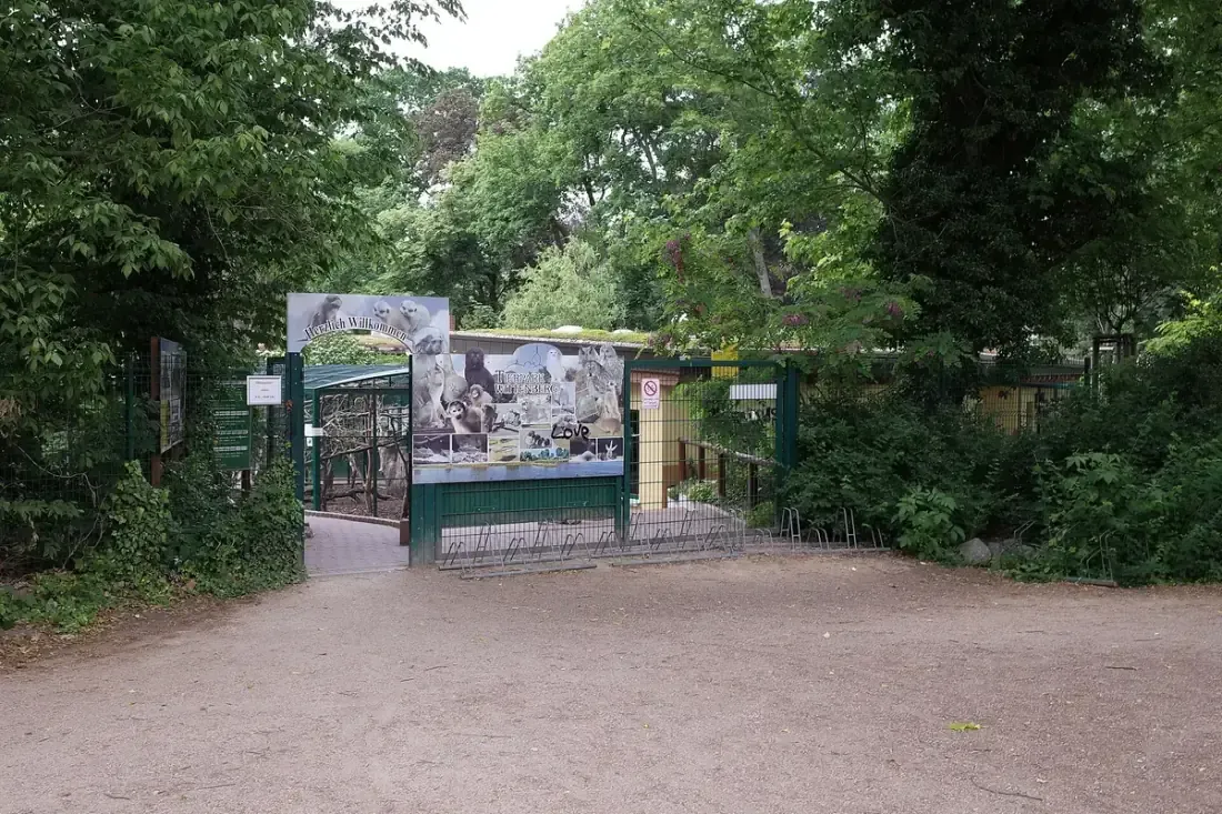 Alaris Schmetterlingspark Wittenberg