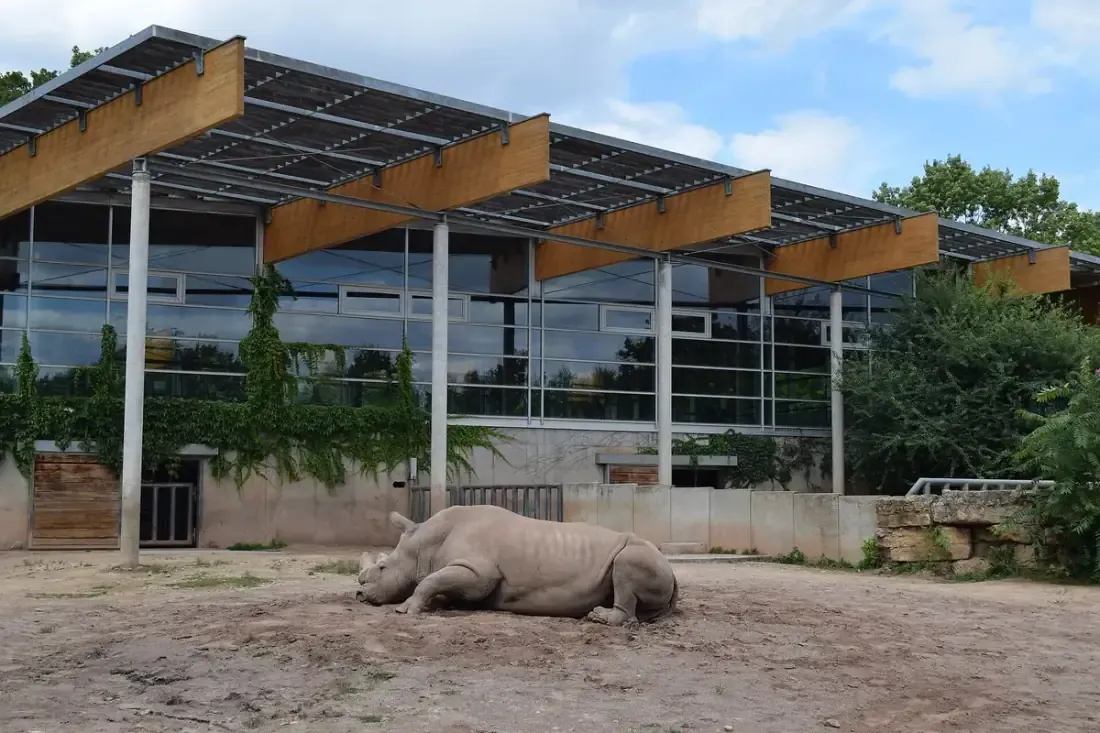 Thüringer Zoopark Erfurt