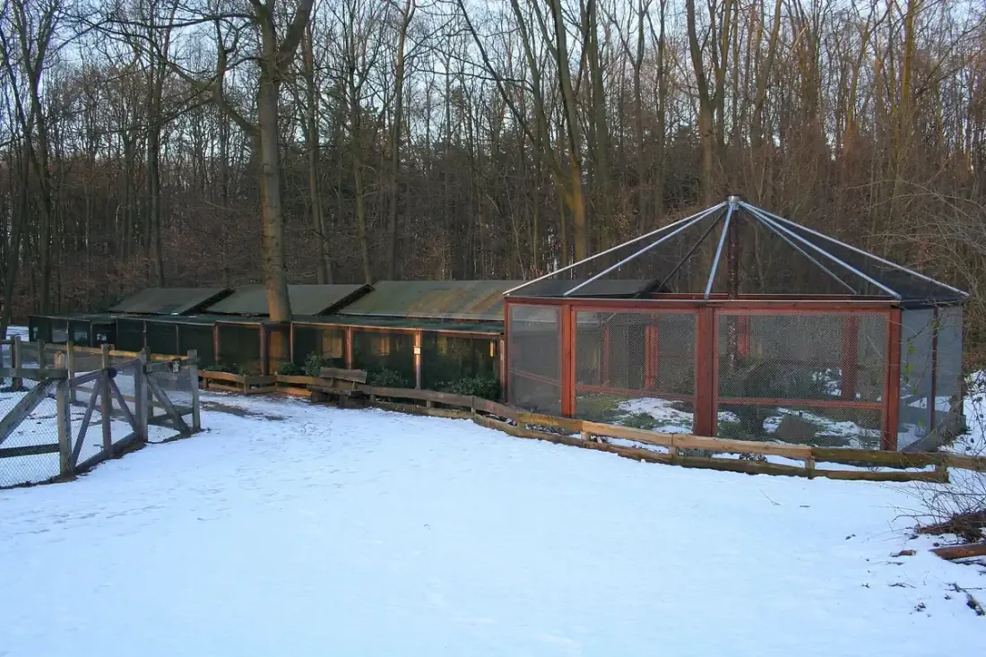 Wildpark im Tannenbusch